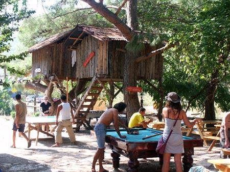 TURKMEN TREE HOUSES