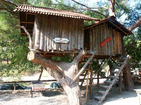 TURKMEN TREE HOUSES