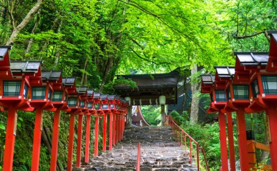 Royal Japonya Turu | Ekstra Turlar Dahil | Ocak Sömestre | THY ile | 7 Gece 10 Gün