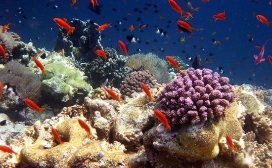 Promo Gizemli Mısır Turu  |  7 Gece - 8 Gün  |  Pegasus HY ile (Sharm Gidiş)