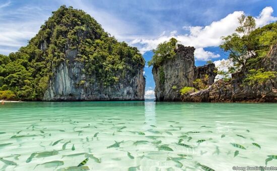 Bella Bangkok & Phuket Turu (BKK-HKT)  I Ekstra Turlar Dahil I THY İle  I 6 Gece 8 Gün (2026 Dönemi)