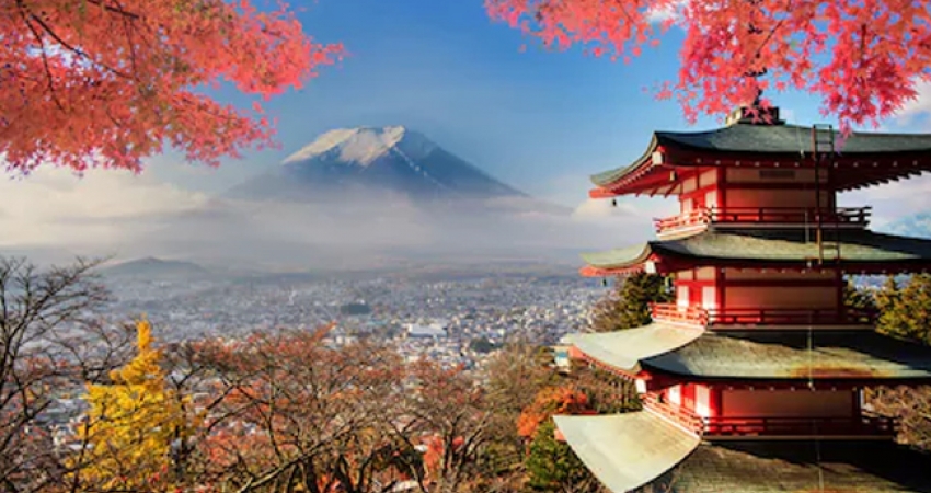 Sakura Dönemi Elegant Japonya & Güney Kore Turu (Ekstra Turlar Dahil) Türk Hava Yolları