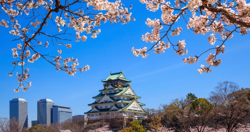 Sömestre Özel I Japonya Turu I Ekstra Turlar Dahil I Qatar HY ile I 6 Gece 9 Gün