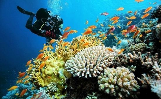 Kasım Ara Tatili Özel I Ankara Çıkışlı Kahire & Sharm Turu I AirCairo Havayolları İle I 3 Gece 5 Gün