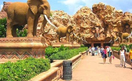 Sömestre Özel I Güney Afrika Turu I THY ile I 7 Gece 8 Gün