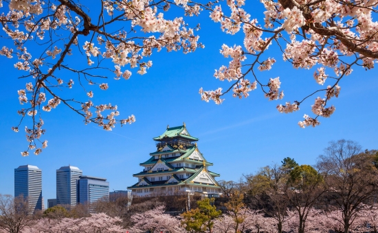 Büyük Japonya Turu  I Tüm Turlar Dahil I THY ile I 6 Gece 8 Gün