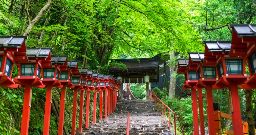 Muhteşem Japonya Turu I Vizesiz I Ekstra Turlar Dahil I All Nippon HY ile I 6 Gece 8 Gün