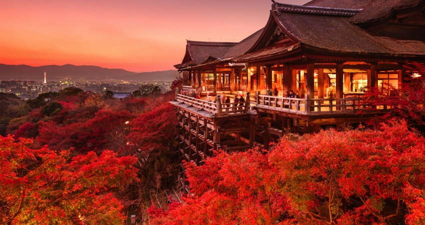Muhteşem Japonya Turu I Vizesiz I Ekstra Turlar Dahil I All Nippon HY ile I 6 Gece 8 Gün