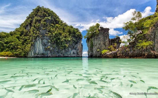Bella Bangkok & Phuket Turu (BKK-HKT)  I Ekstra Turlar Dahil I THY İle  I 6 Gece 8 Gün (2026 Dönemi)