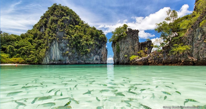 Sömestre Özel I Bangkok & Pattaya & Phuket Turu I Air Arabia HY ile I 6 Gece 8 Gün