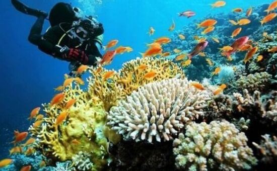 Ankara Çıkışlı I İskenderiye & Kahire & Sharm El Sheikh Turu I Pegasus HY ile I 5 Gece 7 Gün