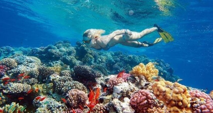 Ankara Çıkışlı I Piramitlerden Kızıldeniz Kahire & Sharm El Sheikh Turu I Ajet HY ile I 6 Gece 9 Gün