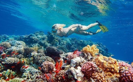 Ankara Çıkışlı I Piramitlerden Kızıldeniz Kahire & Sharm El Sheikh Turu I Ajet HY ile I 6 Gece 9 Gün