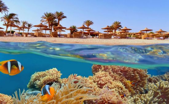 Sharm El Sheikh Turu |  3 Gece  | İstanbul Çıkış | Pegasus Havayolları ile | Gündüz Gidiş