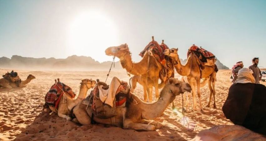 Ankara Çıkışlı  |  Royal Ürdün Hazineleri Turu  | Ekstra Turlar Dahil  | 5 Gece  |  Ajet Havayolları