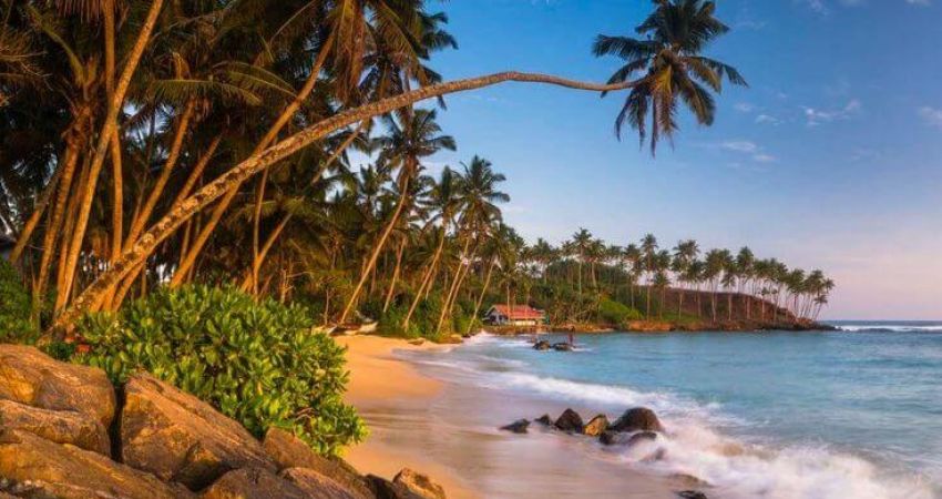 Royal Sri Lanka Turu  |  Ekstra Turlar Dahil  |  6 Gece  |  THY ile