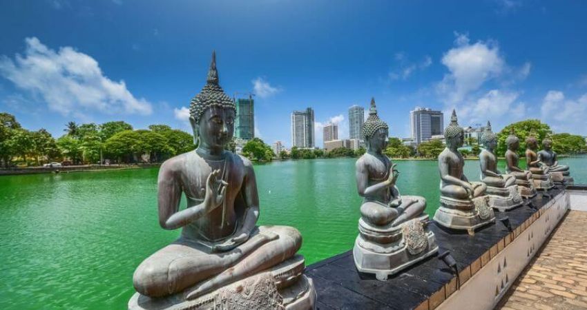 Royal Sri Lanka Turu  |  Ekstra Turlar Dahil  |  6 Gece  |  THY ile