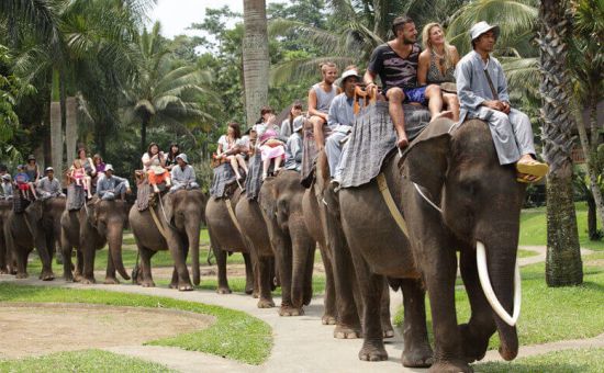 Muhteşem Tayland İncileri Turu  |  6 Gece  |  THY ile