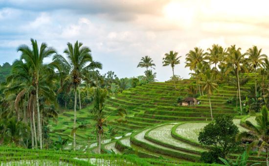 Bali Turu I THY ile I 6 Gece Konaklama I 2026 (DPS-DPS)