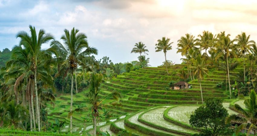 Egzotik Bali &  Ubud Turu  |  6 Gece  |  THY ile