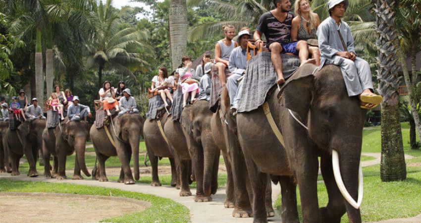 Yılbaşı Özel Royal Bangkok &  Phuket &  Phi Phi Adalar Turu  |  Ekstra Turlar Dahil  |  6 Gece  |  THY ile