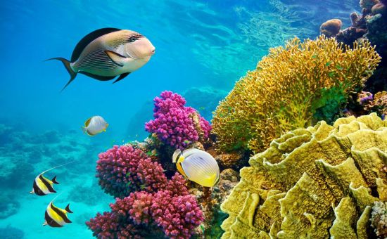 Promo Mısır Şaheserleri Turu  │  5 Gece - 6 Gün  │  PGS ile (İskenderiye Gidiş)