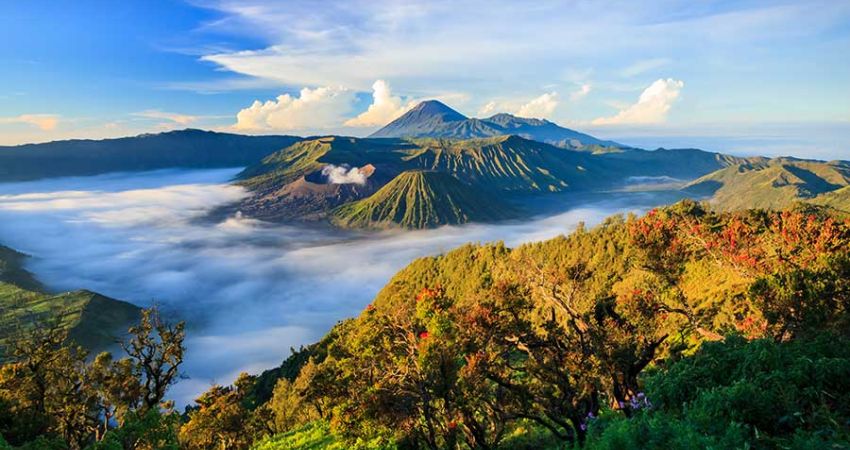 Flex Bali Turu  |  5 Gece  |  Singapur Hava Yolları ile  (DPS-DPS)