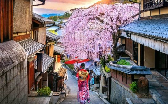 Maxi Japonya Turu  |  Ekstra Turlar Dahil  |  6 Gece  |  THY ile  (KIX-HND)