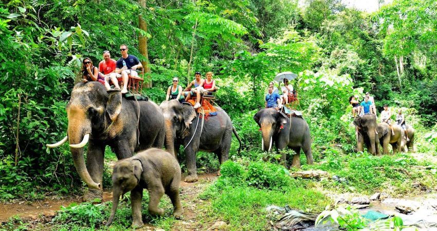 Phuket Turu  |  5 Gece  |  Saudia Hava Yolları ile