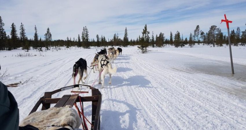 Bella Rusya Turu  |  Ekstra Turlar Dahil  |  5 Gece - 6 Gün  | THY ile (LED-VKO)