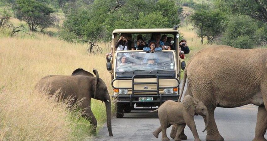 Bella Güney Afrika Turu  |  Ekstra Turlar Dahil  |  7 Gece  |  THY ile (CPT-JNB)