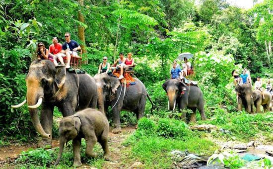 Flex Tayland &  Fener Festivali Turu  |  8 Gece  |  THY ile (BKK-HKT)