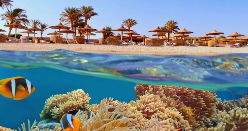 Kurban Bayramı Özel Sharm El Sheikh Turu  |   4 Gece 5 Gün  |  Freebird HY İle