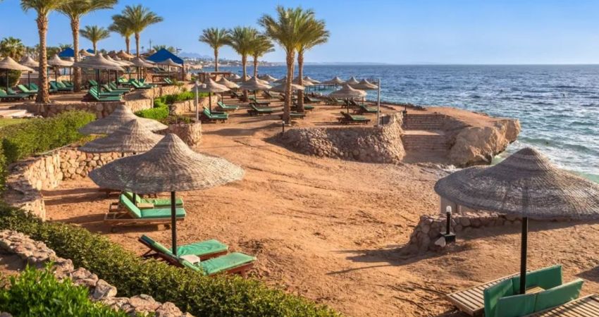 Kahire Shakira Konseri Turu  | 5 Gece  |  Ajet HY ile