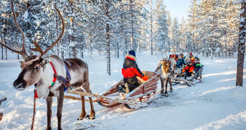 Royal Lapland Turu | Ekstra Turlar Dahil | 3 Gece | THY İle